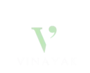 logo of vinayak